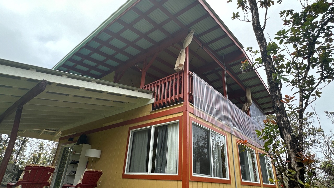 Photo of Outdoor in Fern Forest