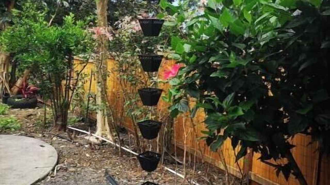 Photo of Outdoor in Kona Palisades