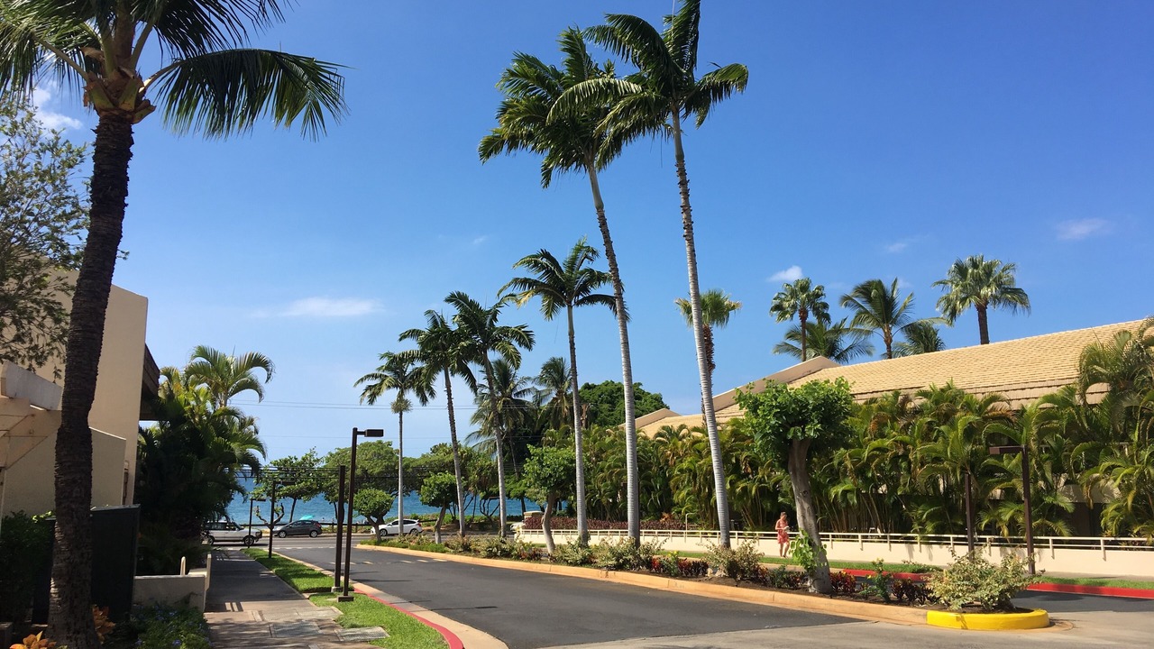 Photo of Others in Kihei