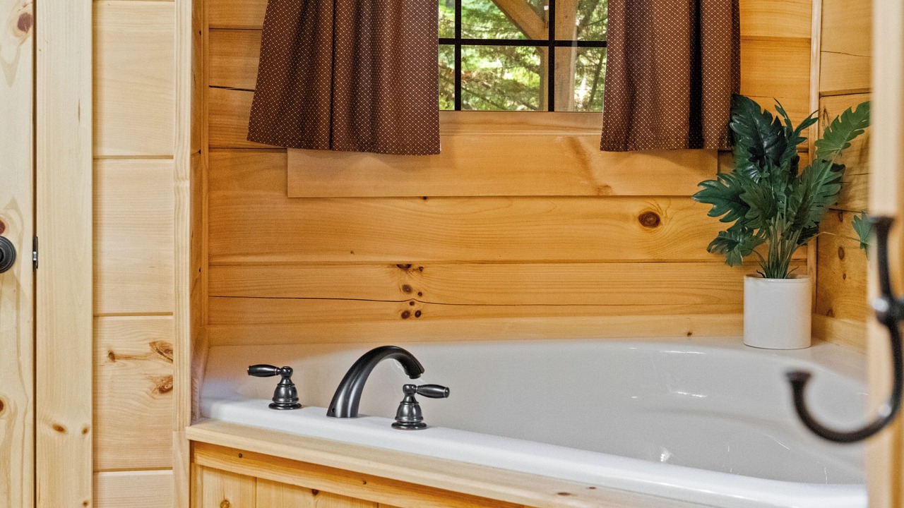 Photo of Bathroom in Pisgah Forest