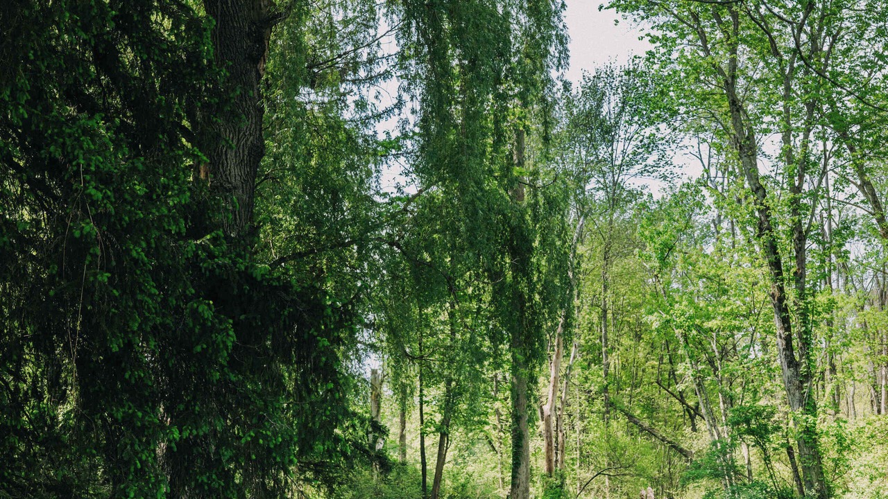 Photo of Others in Rhinebeck