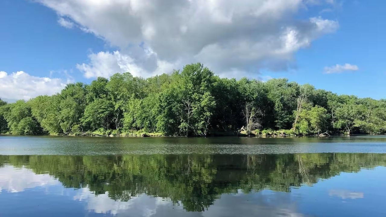 Photo of Others in Saugerties South