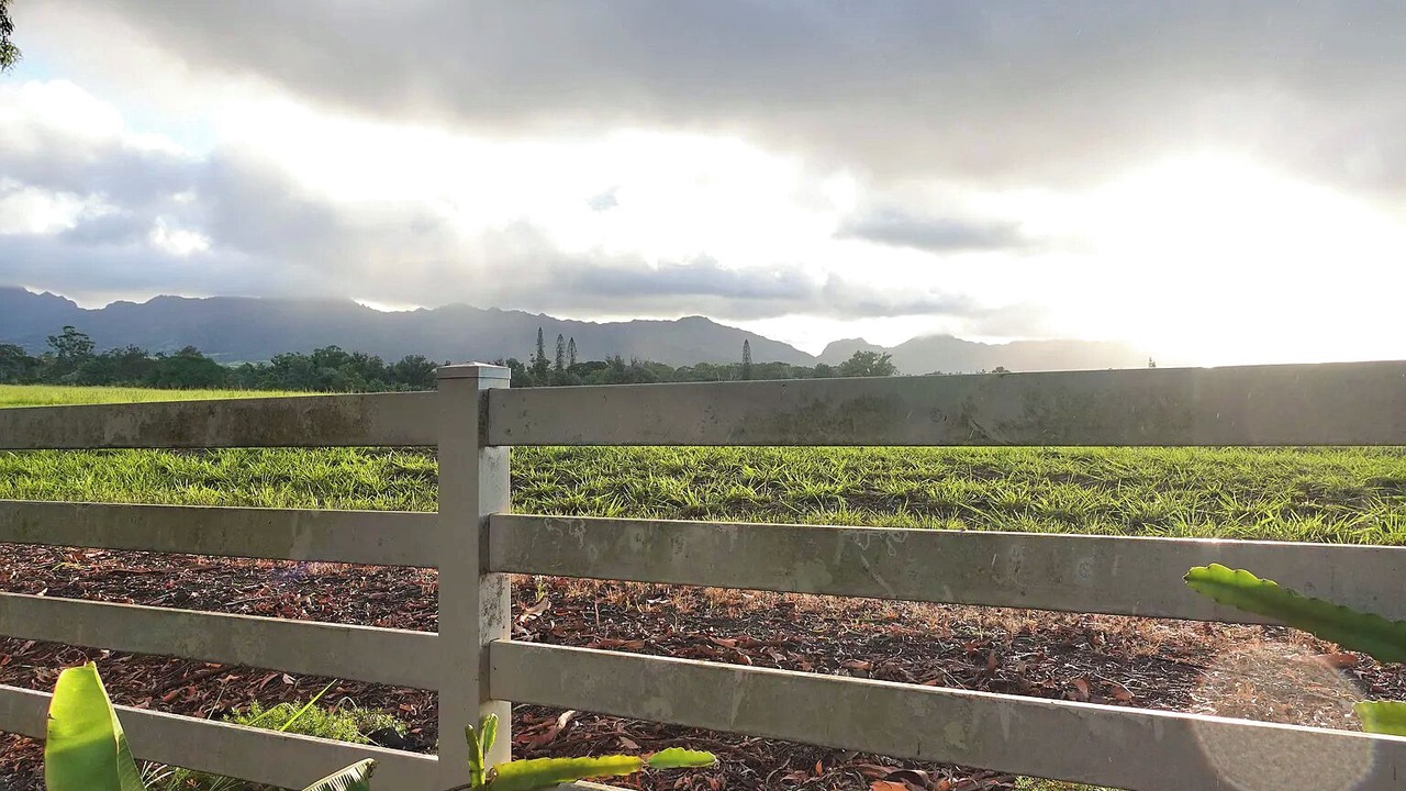 Photo of Outdoor in Mililani