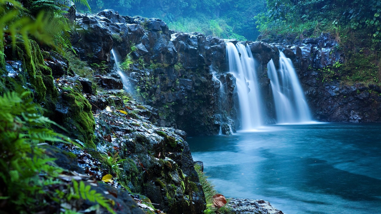 Photo of Others in Hilo