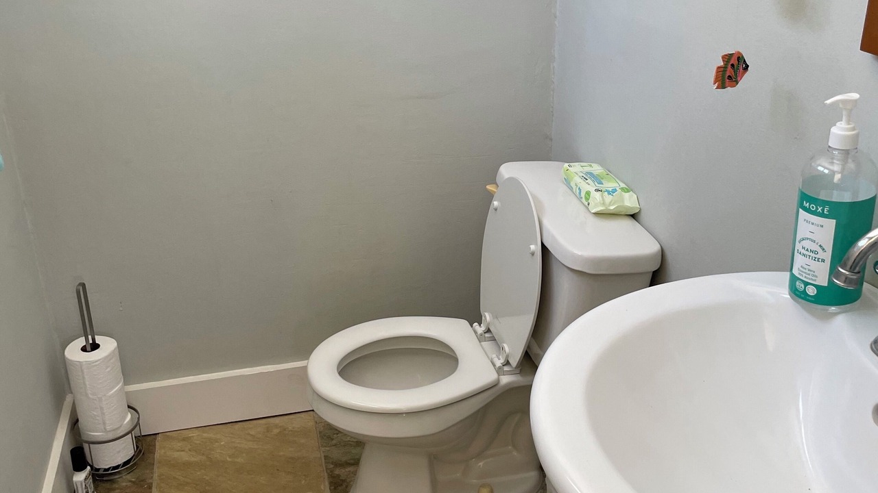 Photo of Bathroom in Portlock