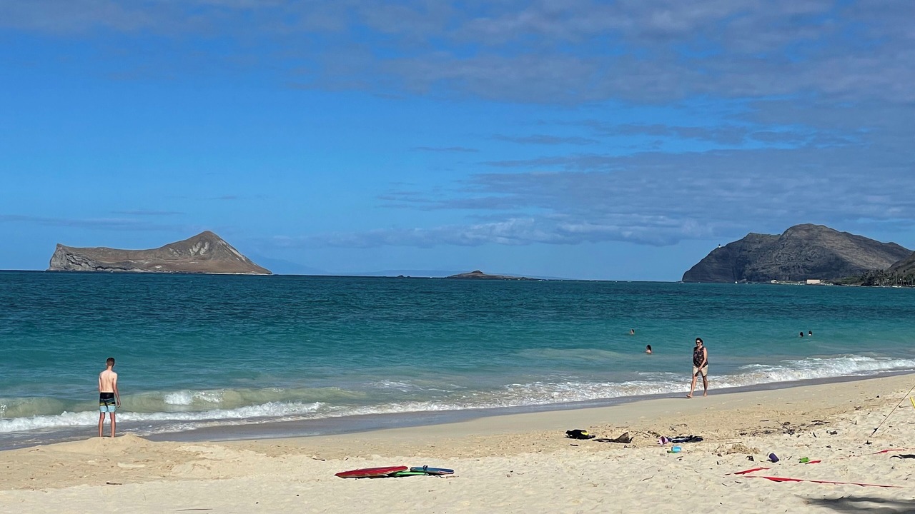 Photo of Others in Portlock