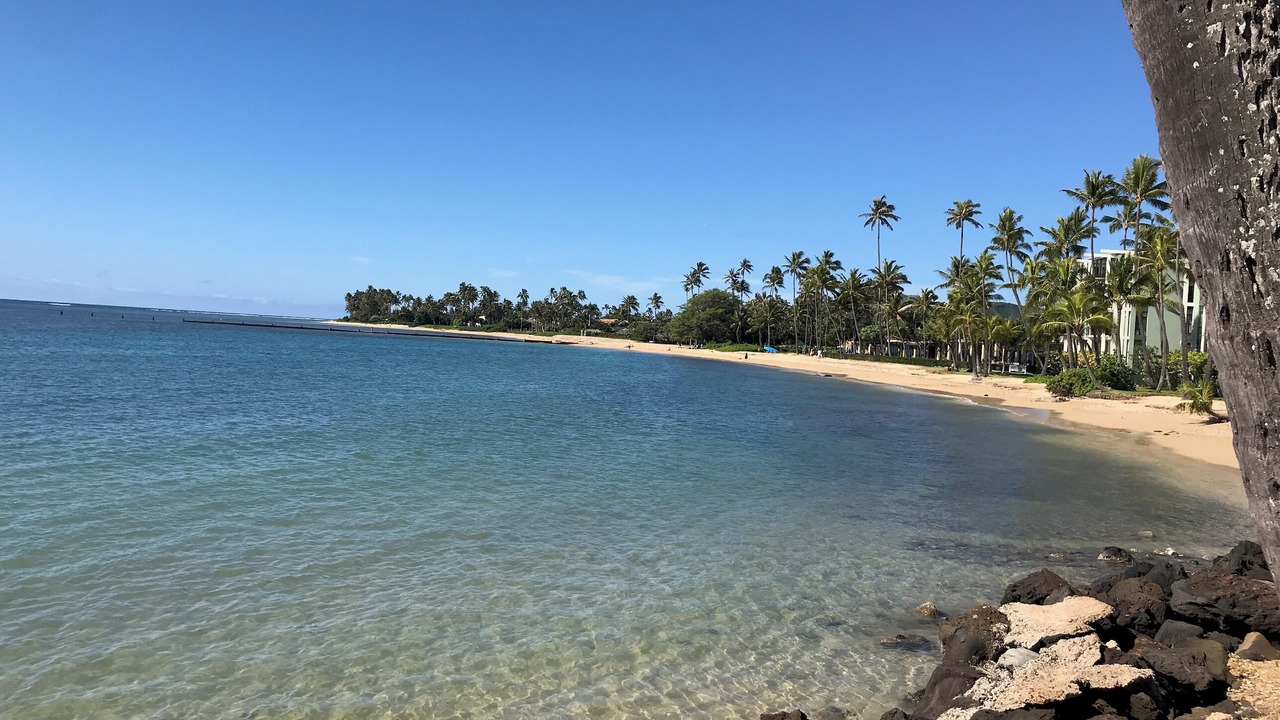 Photo of Others in Kahala