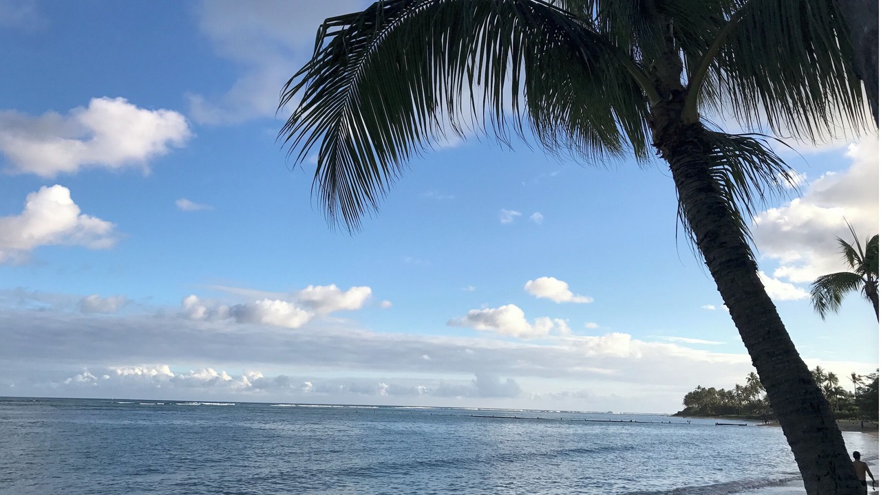 Photo of Others in Kahala
