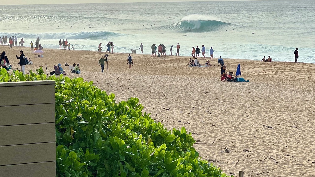 Photo of Others in Pupukea