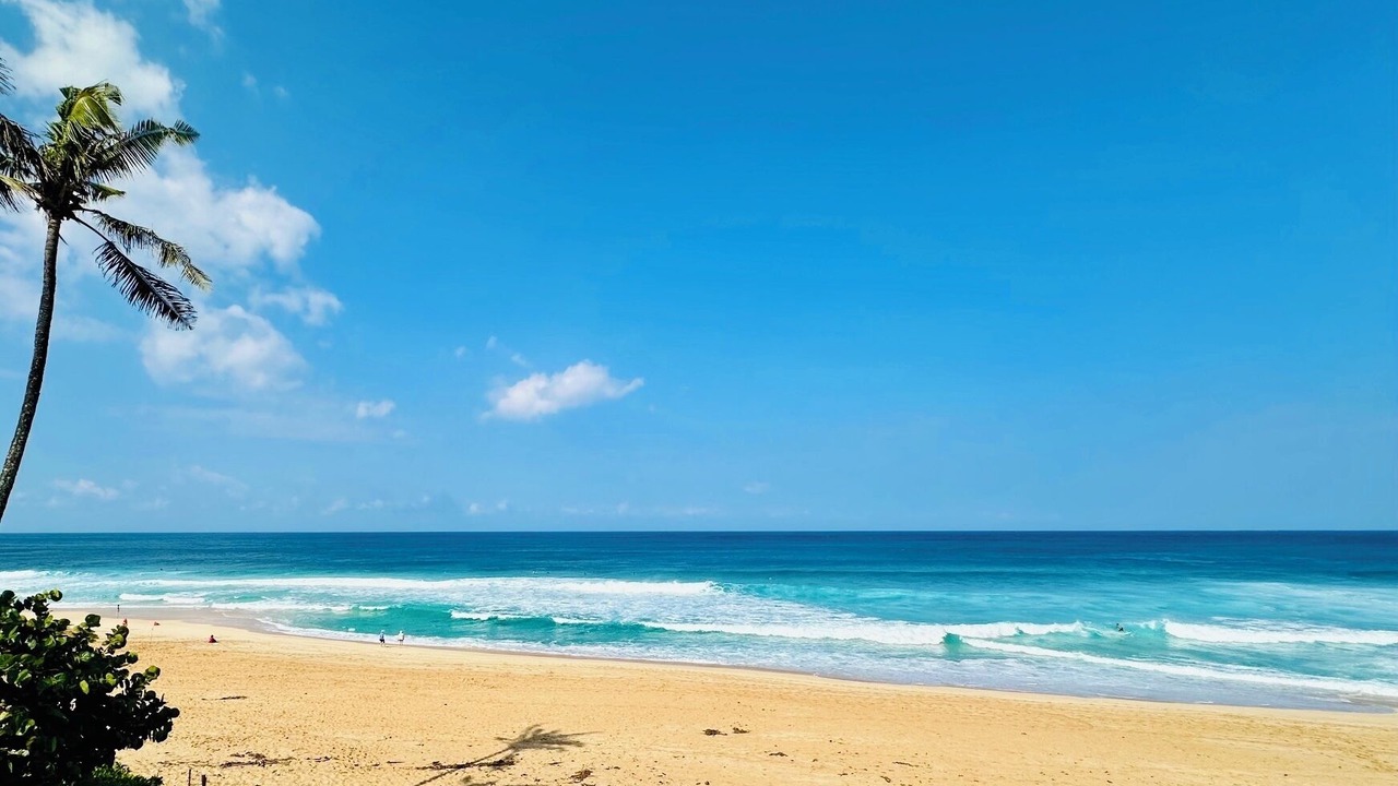 Photo of Others in Pupukea