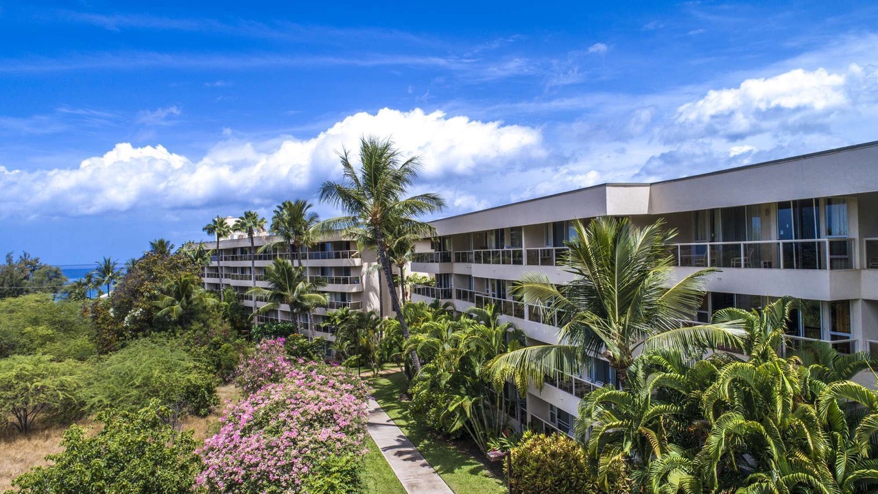 Photo of Outdoor in Kihei