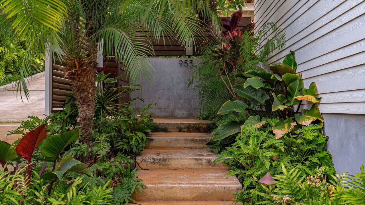 Photo of Outdoor in Lanikai