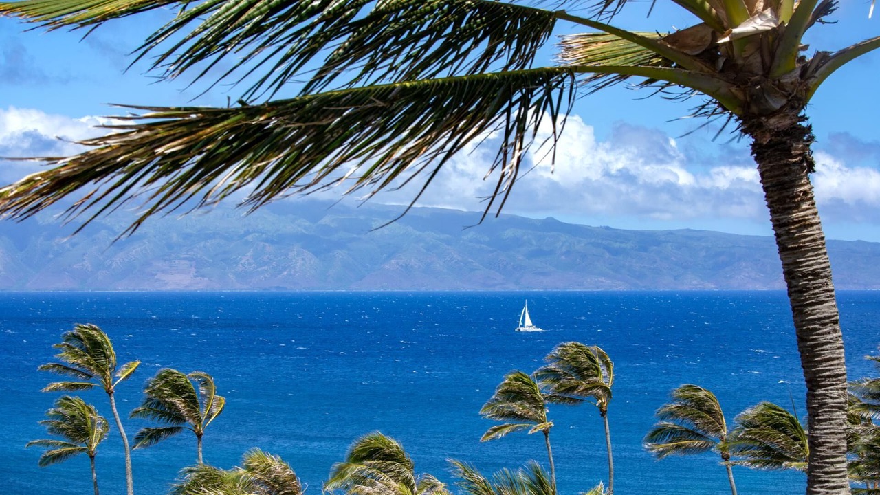 Photo of Others in Napili