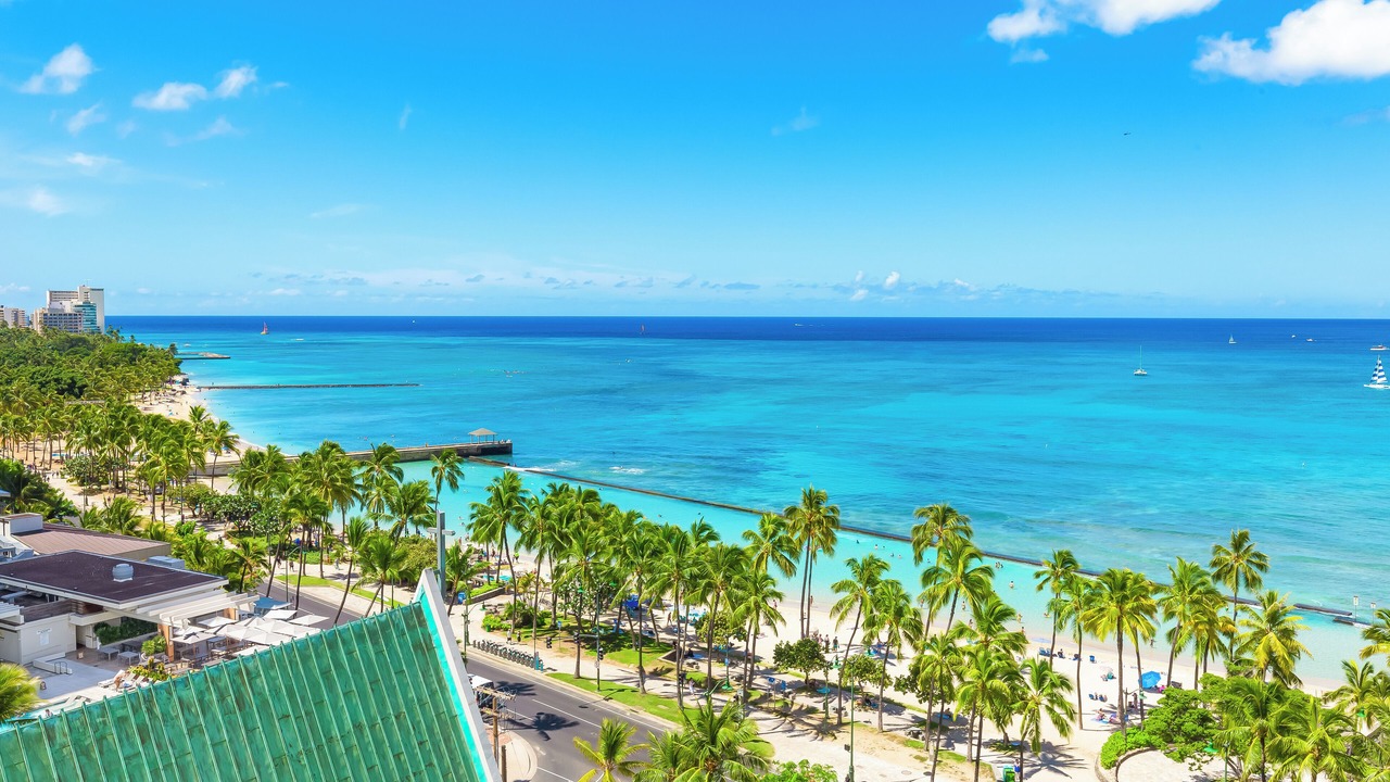 Photo of Others in Honolulu