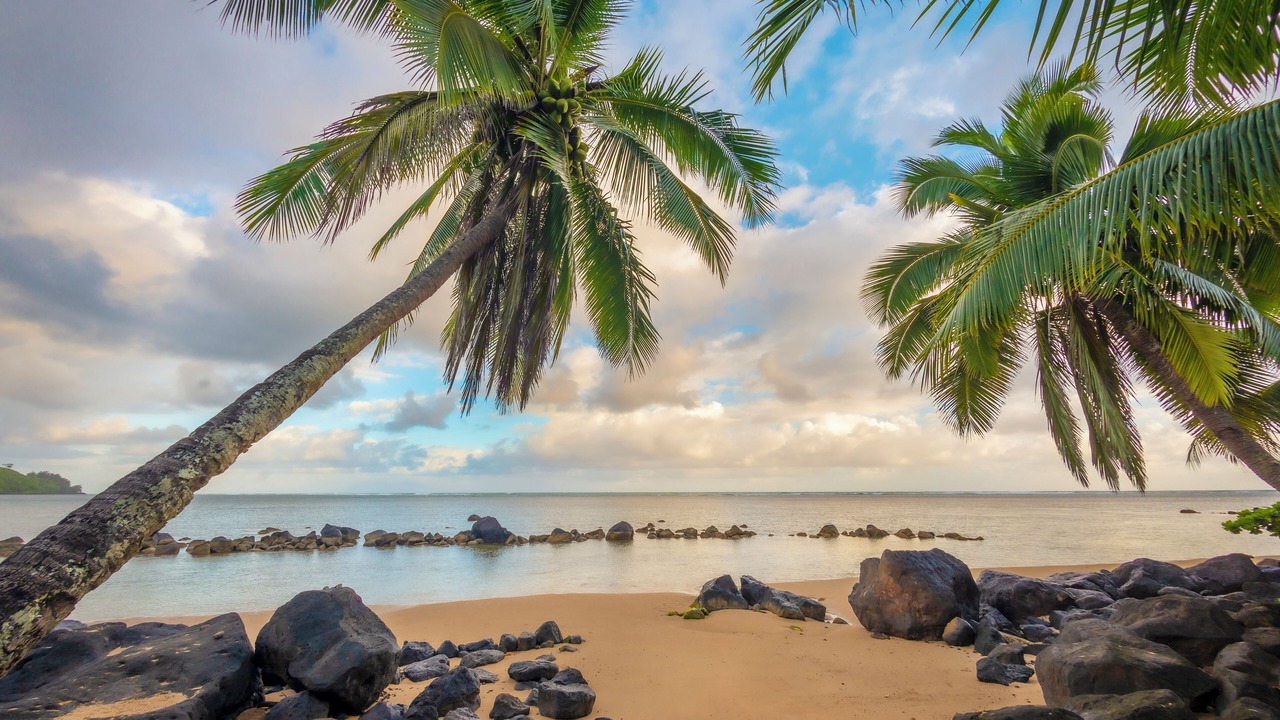 Photo of Others in Kalihiwai