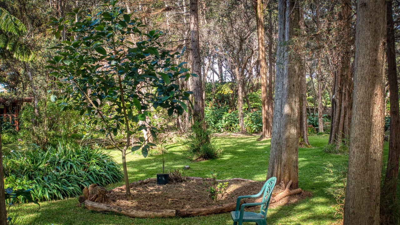 Photo of Outdoor in Volcano