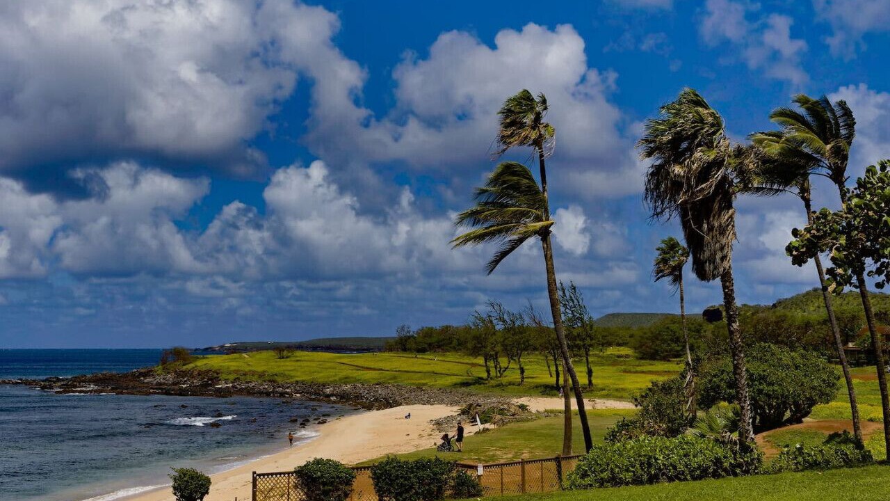 Photo of Others in Maunaloa