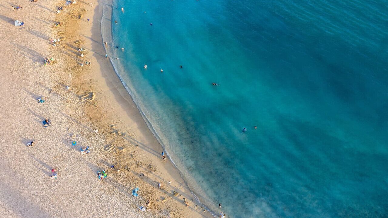 Photo of Others in Waikiki