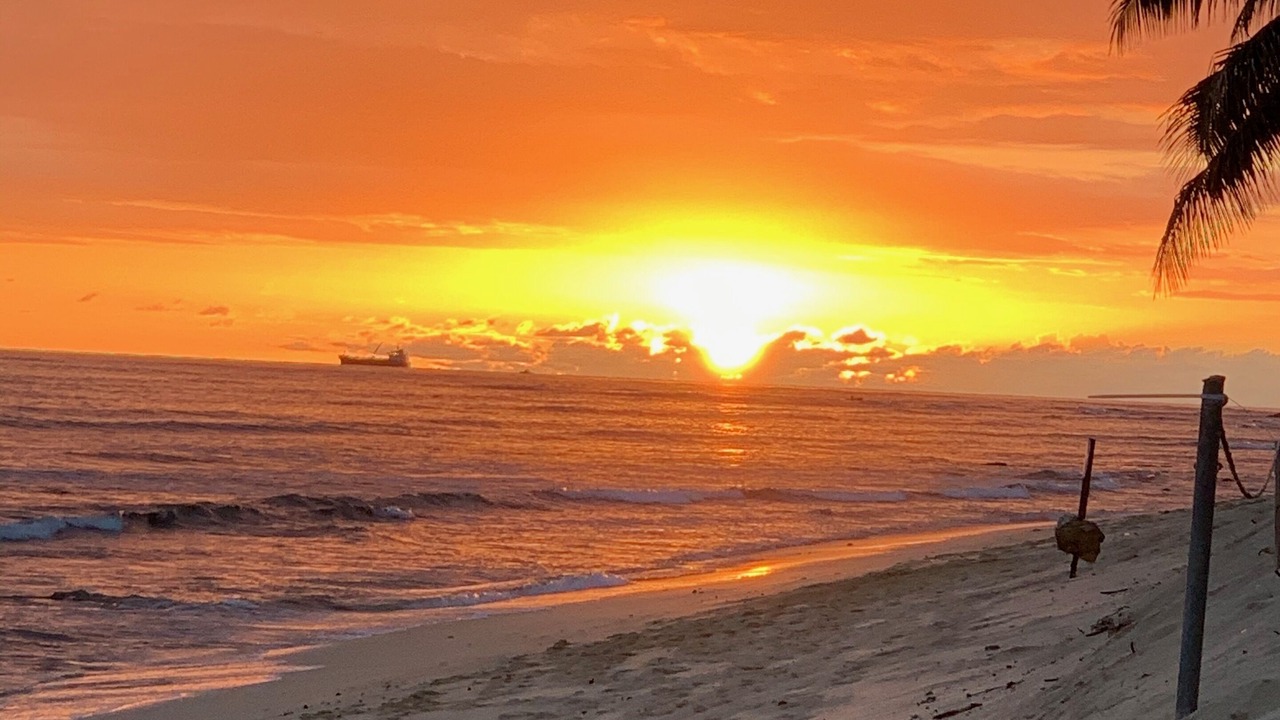 Photo of Others in Ewa Beach