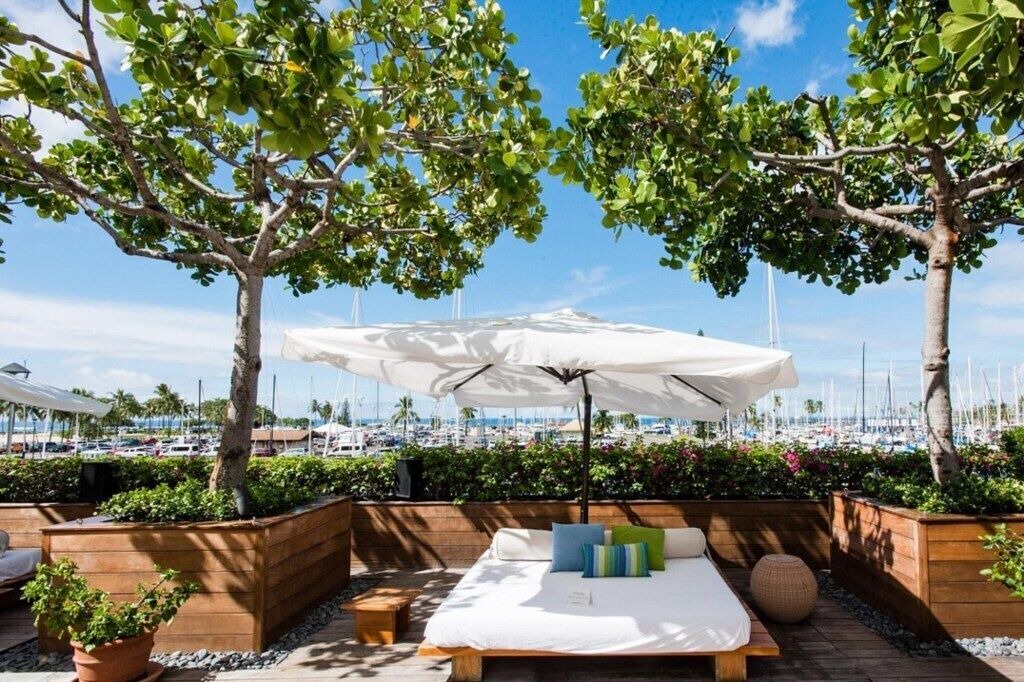 Photo of Others in Waikiki