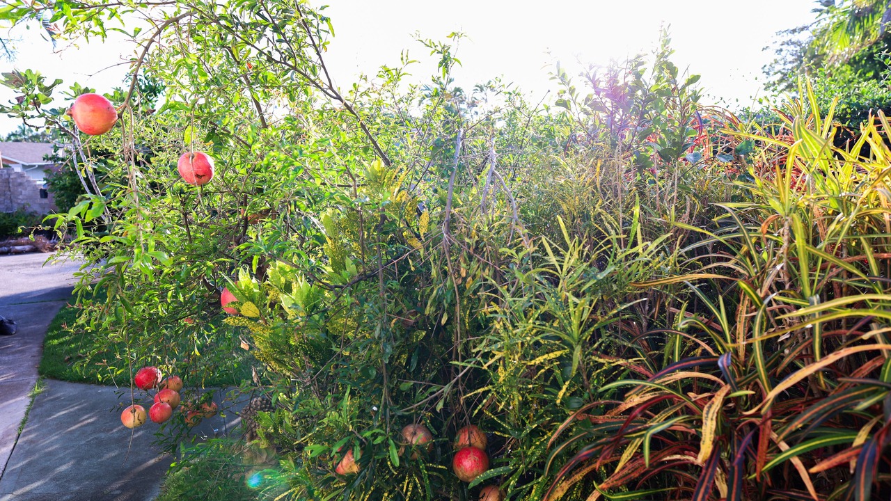 Photo of Outdoor in Portlock