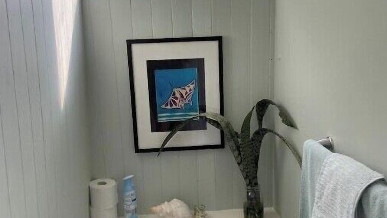 Photo of Bathroom in Kealakekua