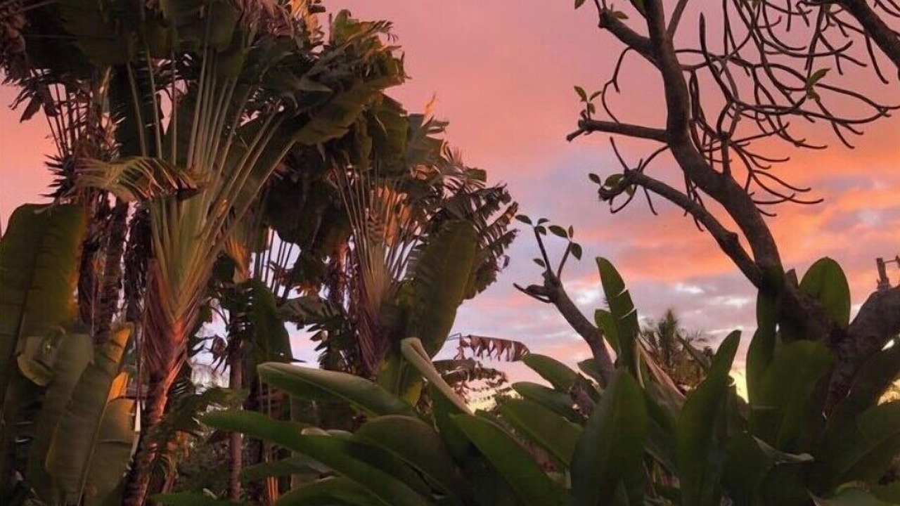 Photo of Bathroom in Kealakekua