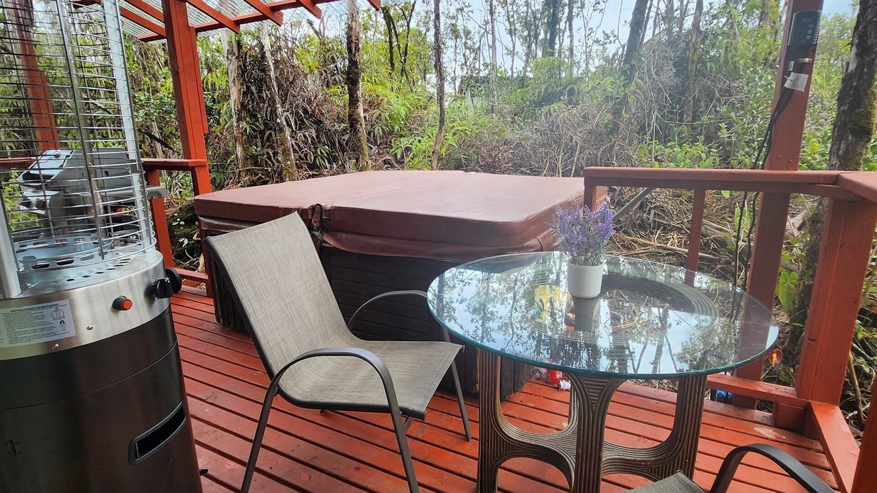 Photo of Outdoor in Fern Forest