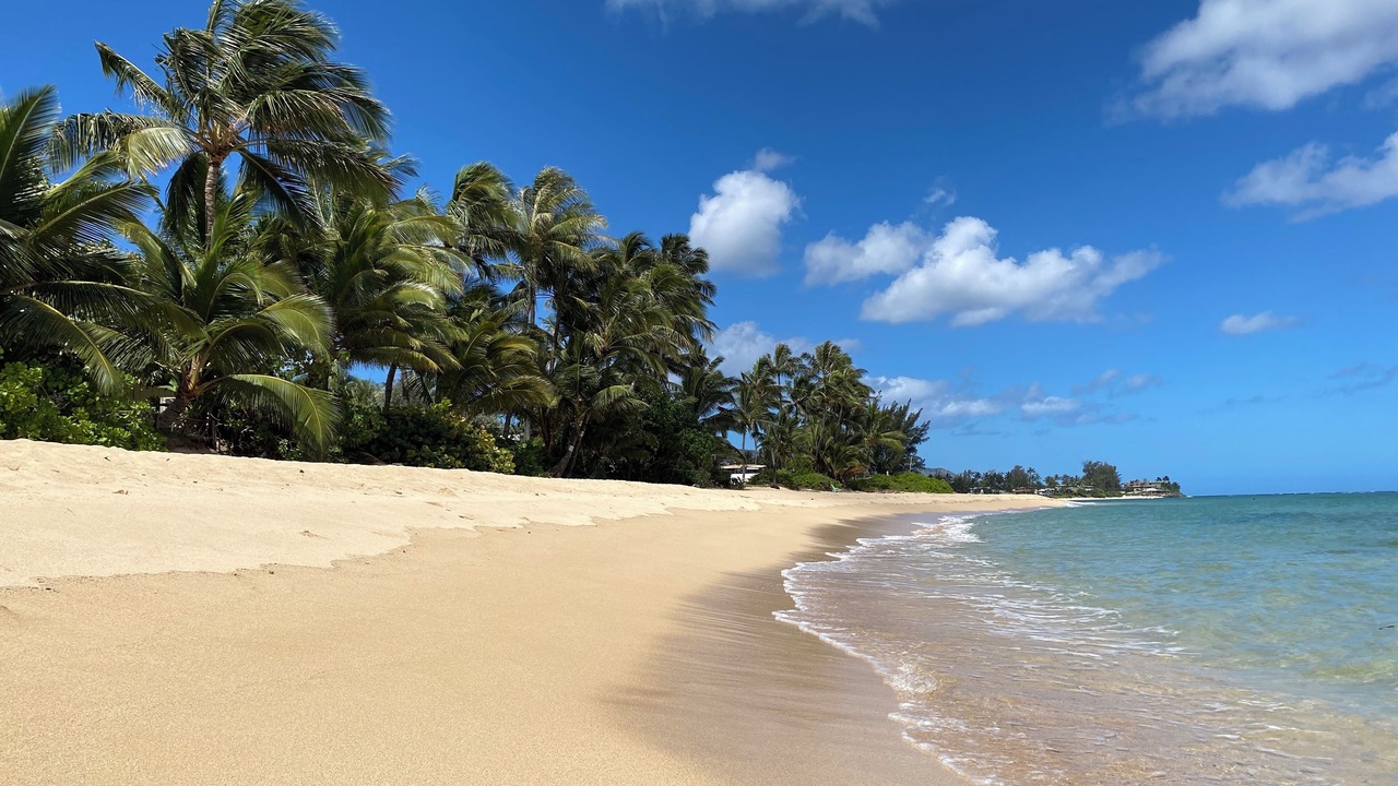 Photo of Others in Waialua