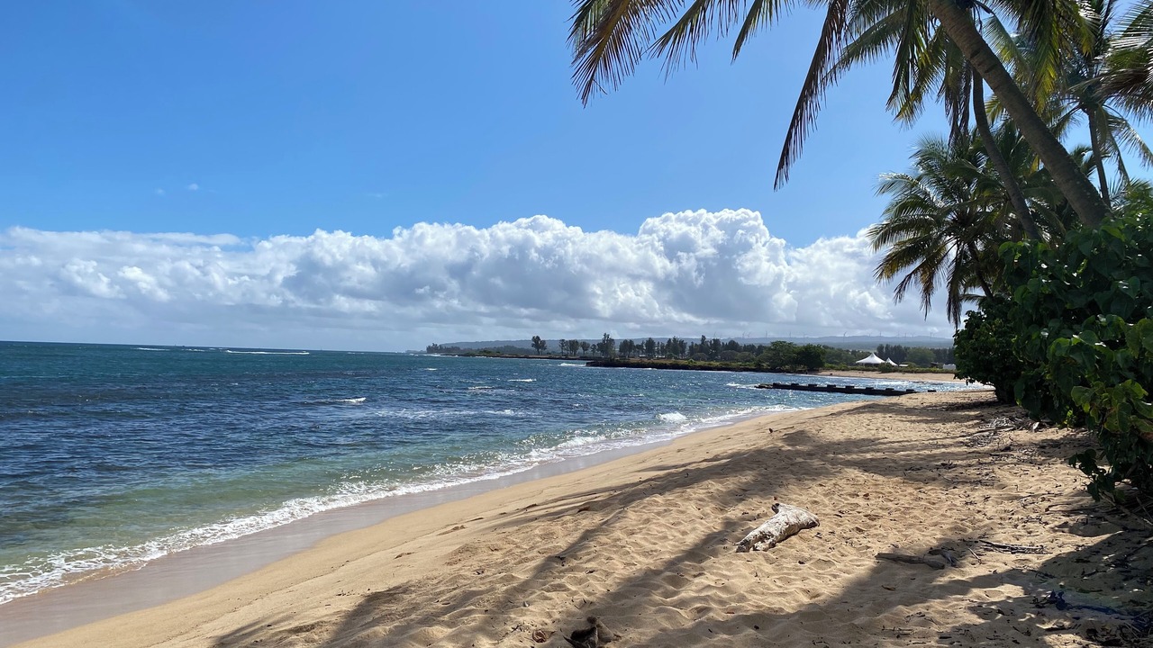 Photo of Others in Waialua