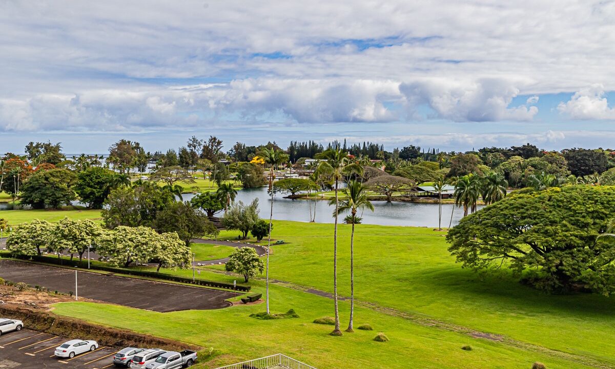 Photo of Others in Hilo