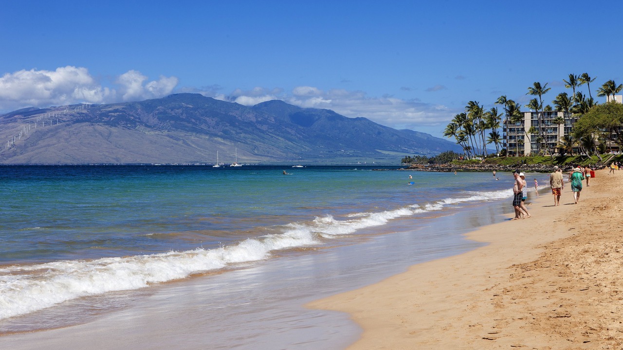 Photo of Others in Kihei