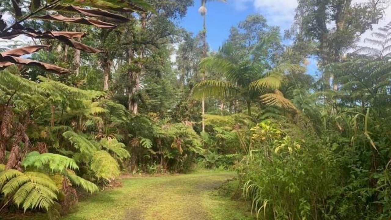 Photo of Outdoor in Mountain View