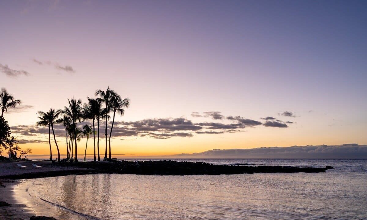 Photo of Others in Kahaluu Bay
