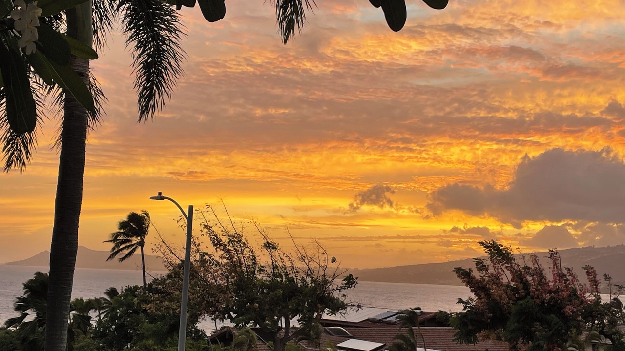 Photo of Others in Honolulu