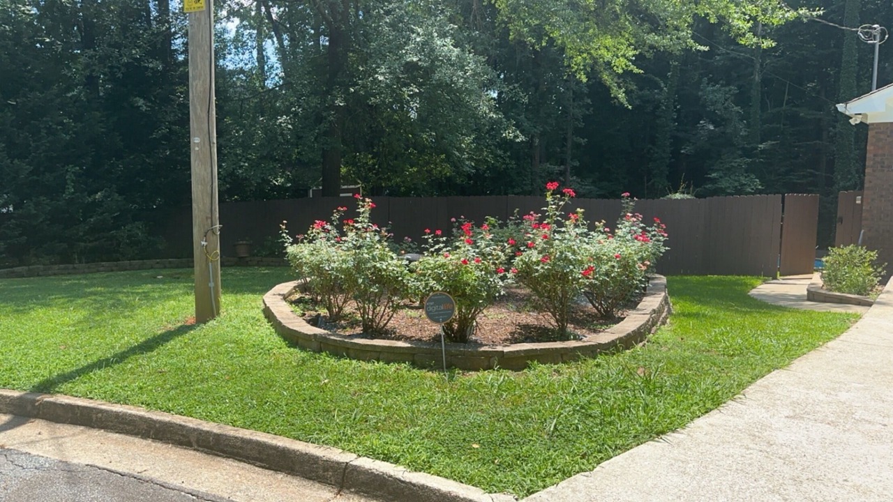 Photo of Outdoor in Tucker