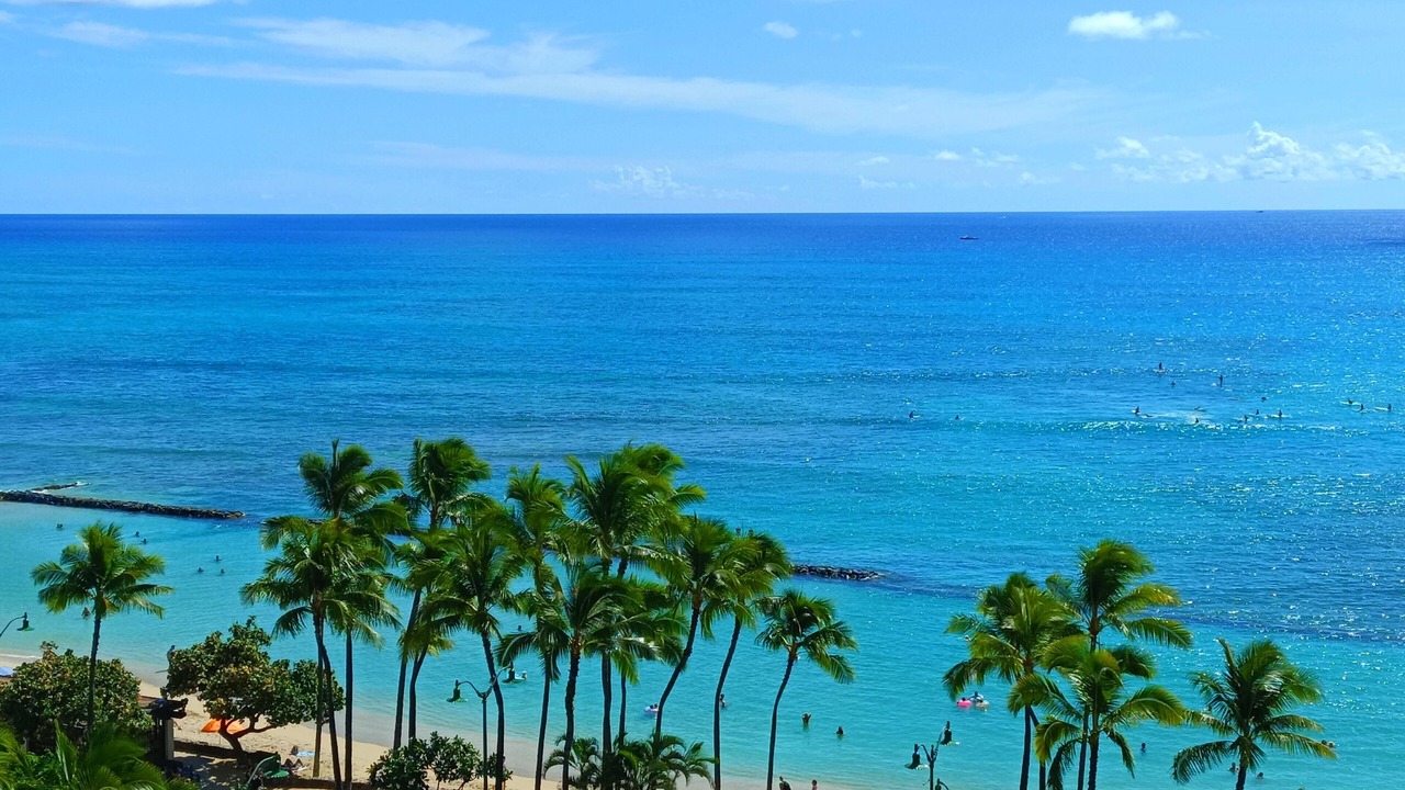 Photo of Others in Diamond Head - Kapahulu - St. Louis
