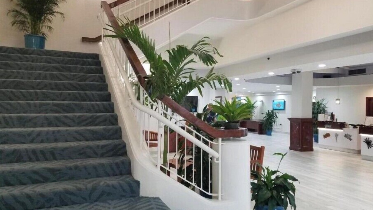 Photo of Others in Honolulu