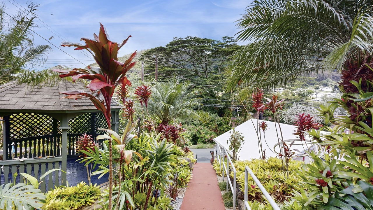 Photo of Outdoor in Kalihi Valley