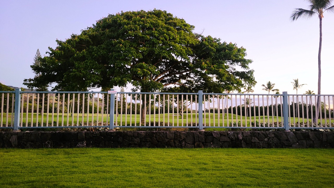 Photo of Outdoor in Keauhou