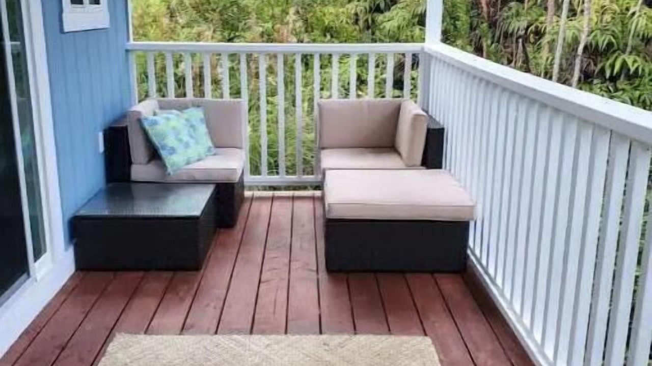 Photo of Outdoor in Fern Forest