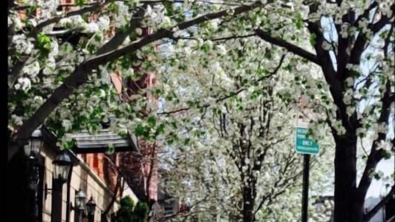 Photo of Others in Hoboken