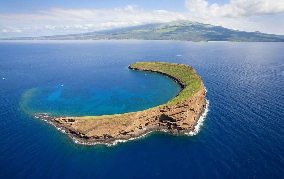 Photo of Others in Kihei