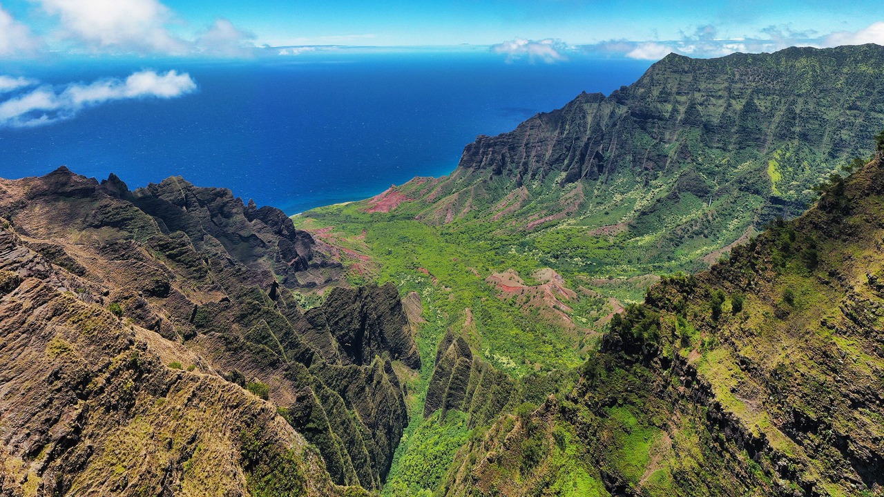 Photo of Others in Poipu