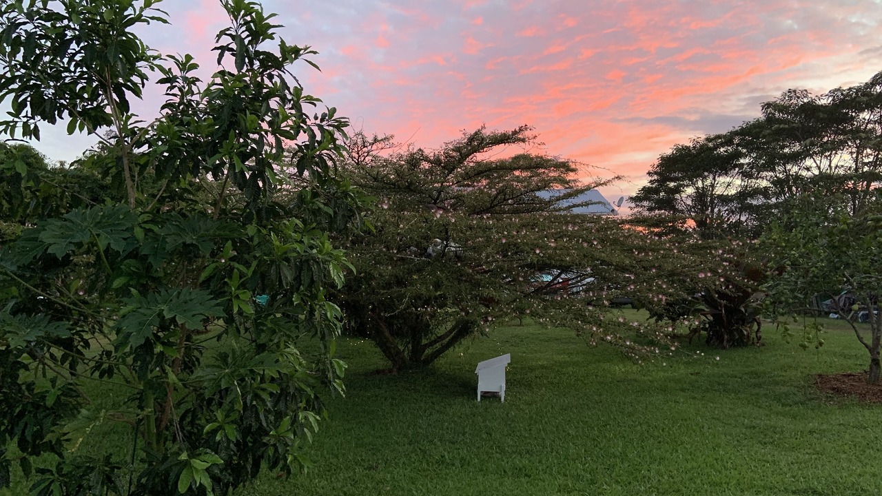 Photo of Outdoor in Keaau