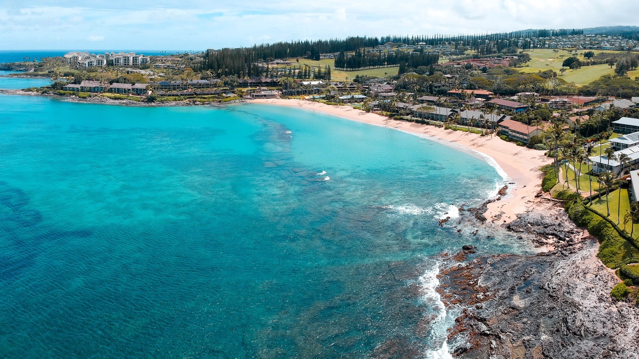 Photo of Others in Napili