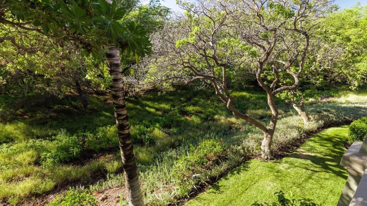 Photo of Outdoor in Kulalani