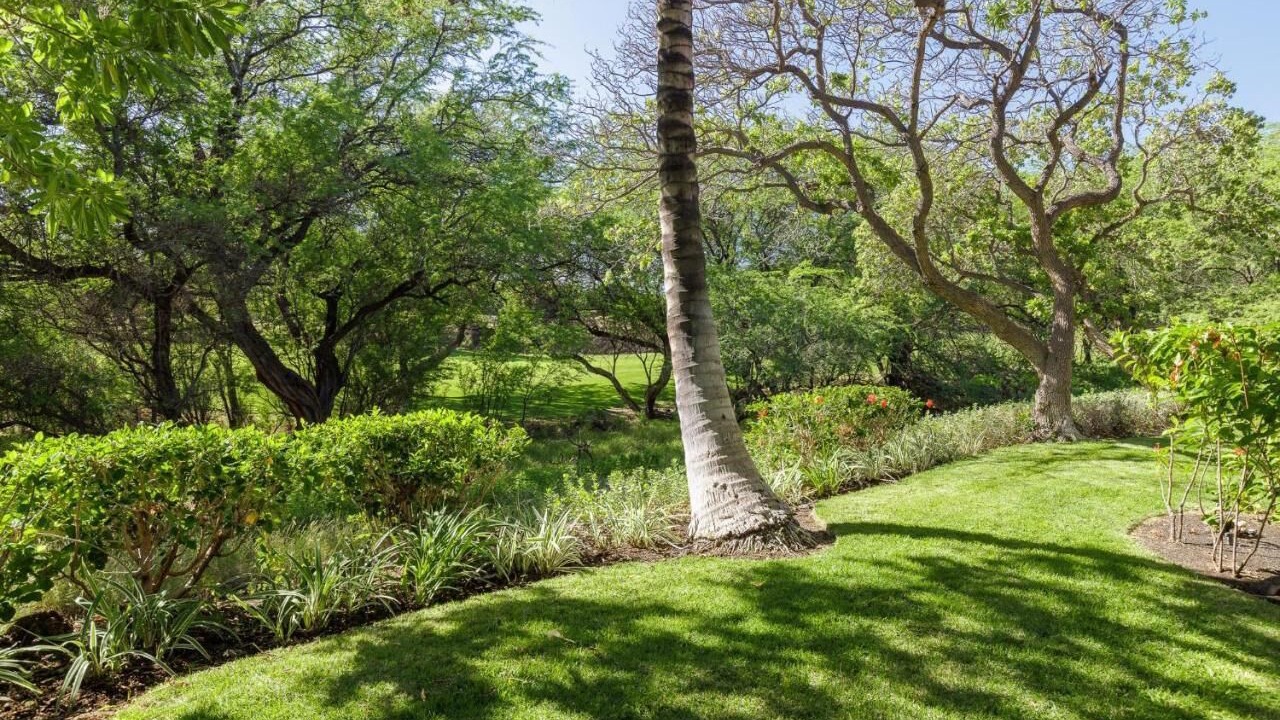 Photo of Outdoor in Kulalani