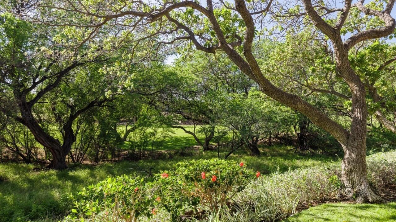 Photo of Outdoor in Kulalani