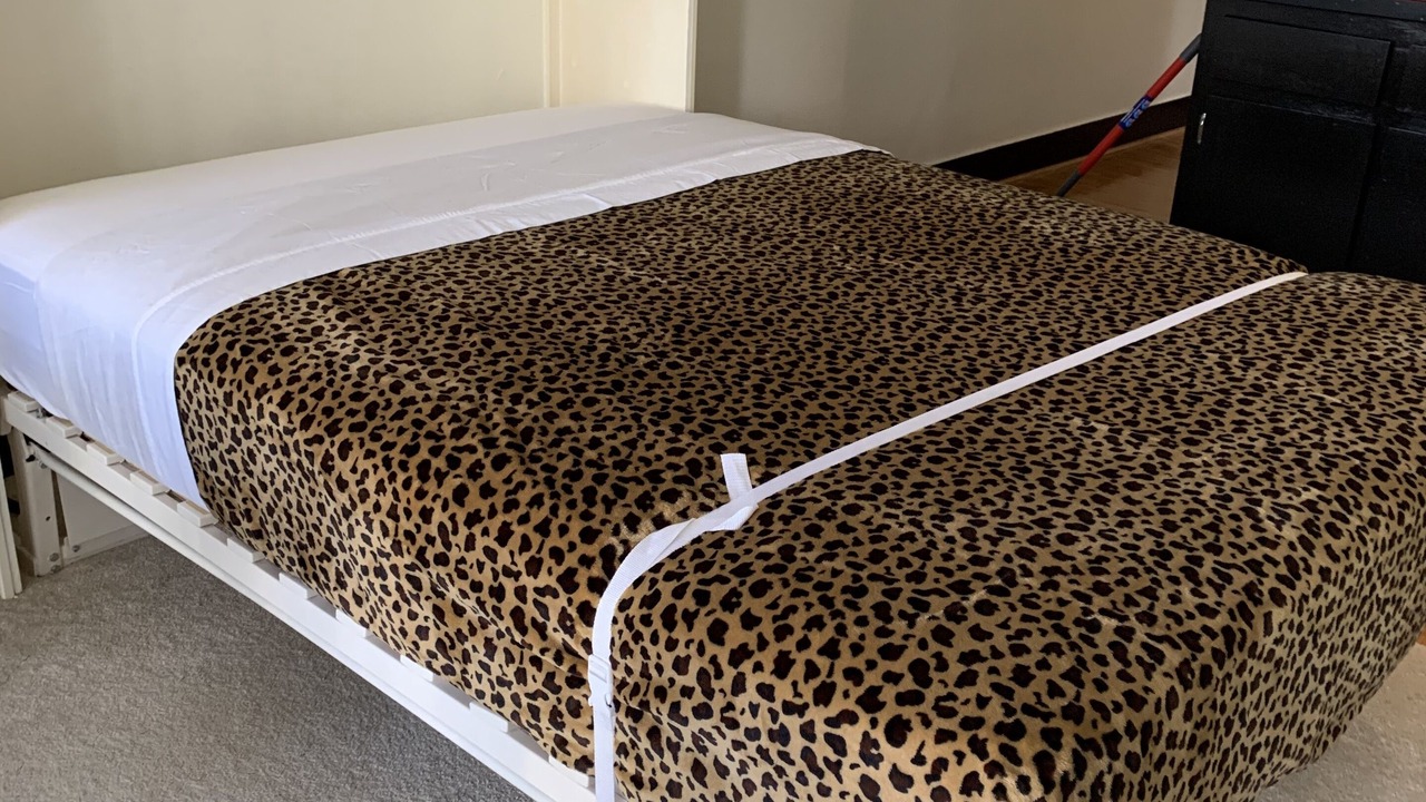 Photo of Bedroom in Hilo